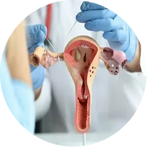 Endocrine disorders and gynecological diseases