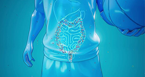  Intestinal Microecolog 