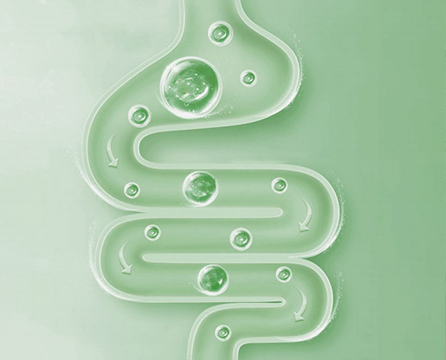 Fecal Microbiota Transplantation, FMT