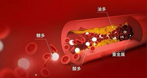 Dual Blood Purification(BP)