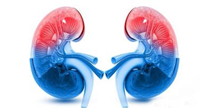 Kidney Detoxification